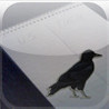 RookSC Image