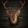 Ace Deer Hunter HD Image