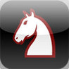 A Knight's Move Image