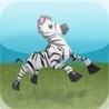 Zebra Racer Image