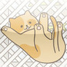 CatFall Image