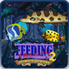 Feeding Frenzy 2: Shipwreck Showdown Image