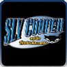 Sly Cooper and the Thievius Raccoonus Image