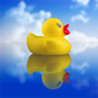 DuckDuckDuck Image
