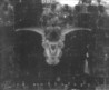 id Anthology Image
