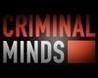 Criminal Minds Image