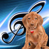 Vocal Zoo Image