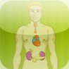 Endocrine System Quiz HD Image