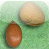 Oh Nuts Image