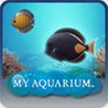 My Aquarium Image