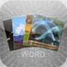 4 photo 1 word with friends Image