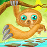 Sloth Hop Image