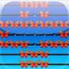 a Orange Butterfly Peg ! Image