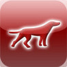 Red Dog Image