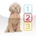 10 Puppies Image