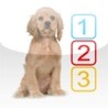 10 Puppies Image