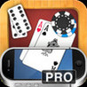 porTable Pro Image