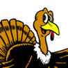 TicPac Holiday Image