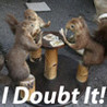 I Doubt It! Image