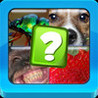 What's in common-4 pics 1 word to guess Image