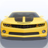 Crazy Car Driver Image