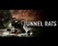 Tunnel Rats: 1968 Image