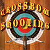 Crossbow Shooting Image