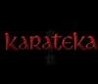 Karateka Image