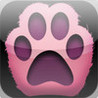 Cat Pairs Image