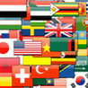 Ultimate Flags Image
