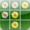 a Daisy Tic Tac Toe - Morpion Image