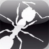 Angry Ants HD Image