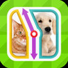 TicToc Pic: Cat or Dog Edition - Reaction Test Game Image