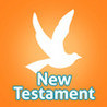 ScriptoQuoth - New Testament Verse Puzzler Image