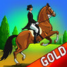Horse Race Riding Agility : The Obstacle Dressage Jumping Contest - Gold Edition Image