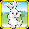 Country Rabbit Jump Image