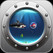 Fish Swim Image