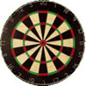 Darts 501 on myHIP - Version 2.0 Image