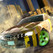 RPM: Gymkhana Racing Image