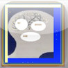 My Brain Age Image