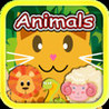 QCat -Toddler Learning Game : Animals Image