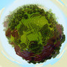 World 16x16 Image