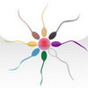 Sperm! Smasher Image