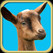 Buttermilk: The Bouncing Baby Goat Image