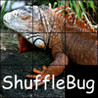 ShuffleBug Image
