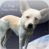 J Dog Jump - Rescue Puppies Image