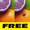 Observer Free Image
