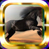Horse Gallop Image