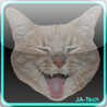 Hungry Hungry Kitty Image