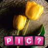 CHASSE A L'IMAGE Image